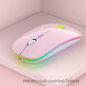 Silent Silent Laptop Gaming Girl Mouse (Option: Pink-Dual template)